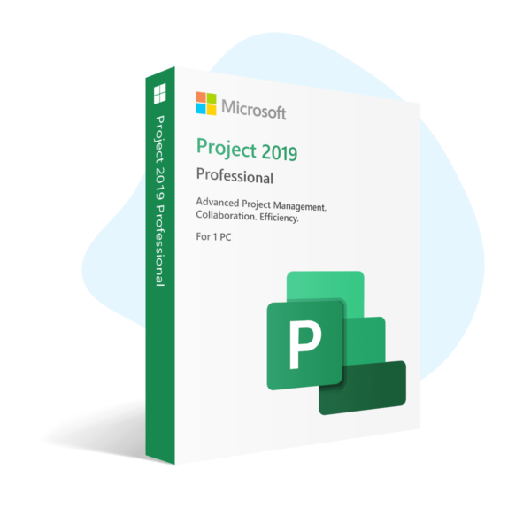 Microsoft Project 2019